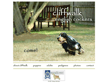 Tablet Screenshot of cliffwalkecs.com